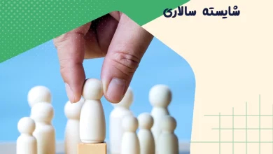 شایسته سالاری در سازمان چیست و چطور آن را توسعه دهیم؟ 8 شایسته سالاری در سازمان چیست و چطور آن را توسعه دهیم؟